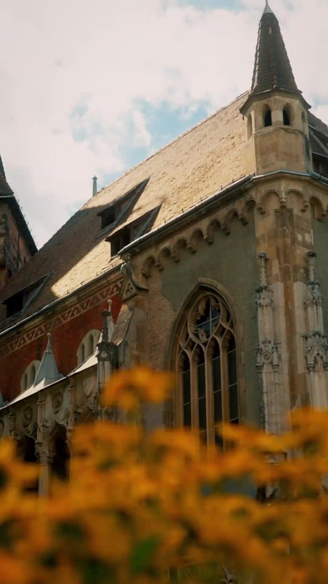 500 Mulheres Rejeitadas. Eu, Escolhida