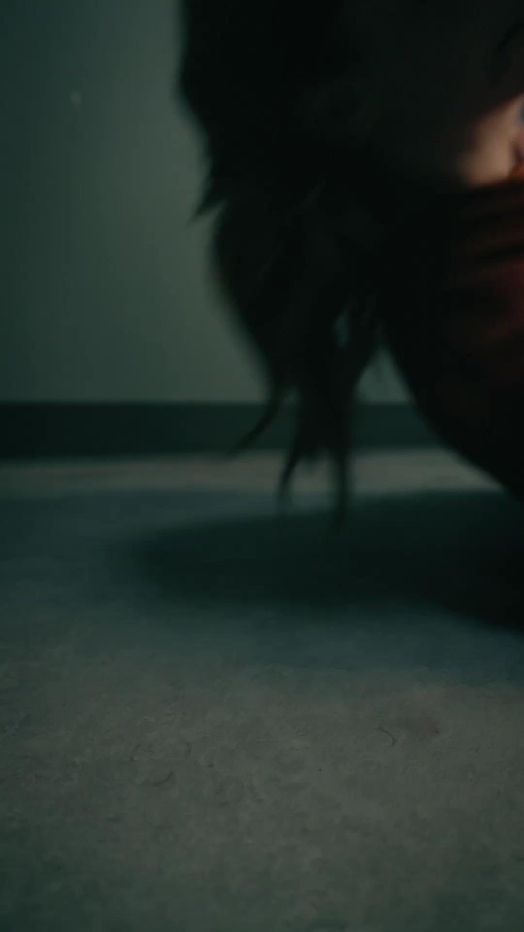 Papá fiscal, salva a mamá