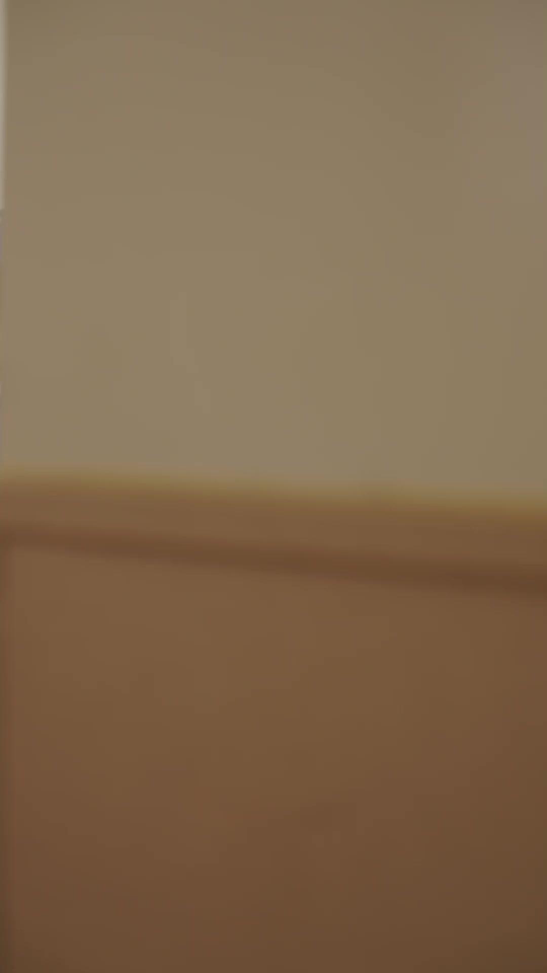 半生甘苦遇見你