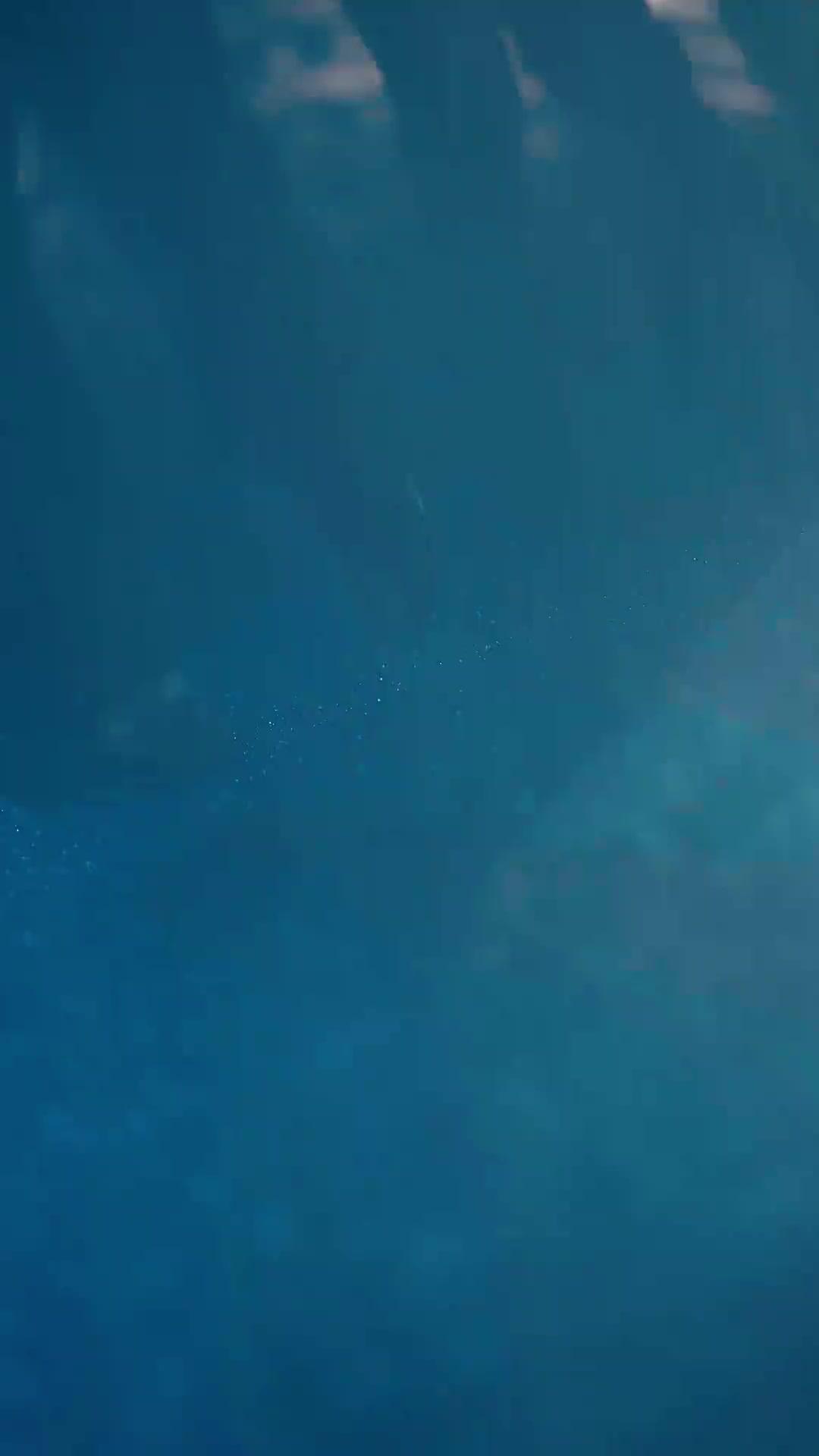 해외 10년, 무적으로 귀환하다