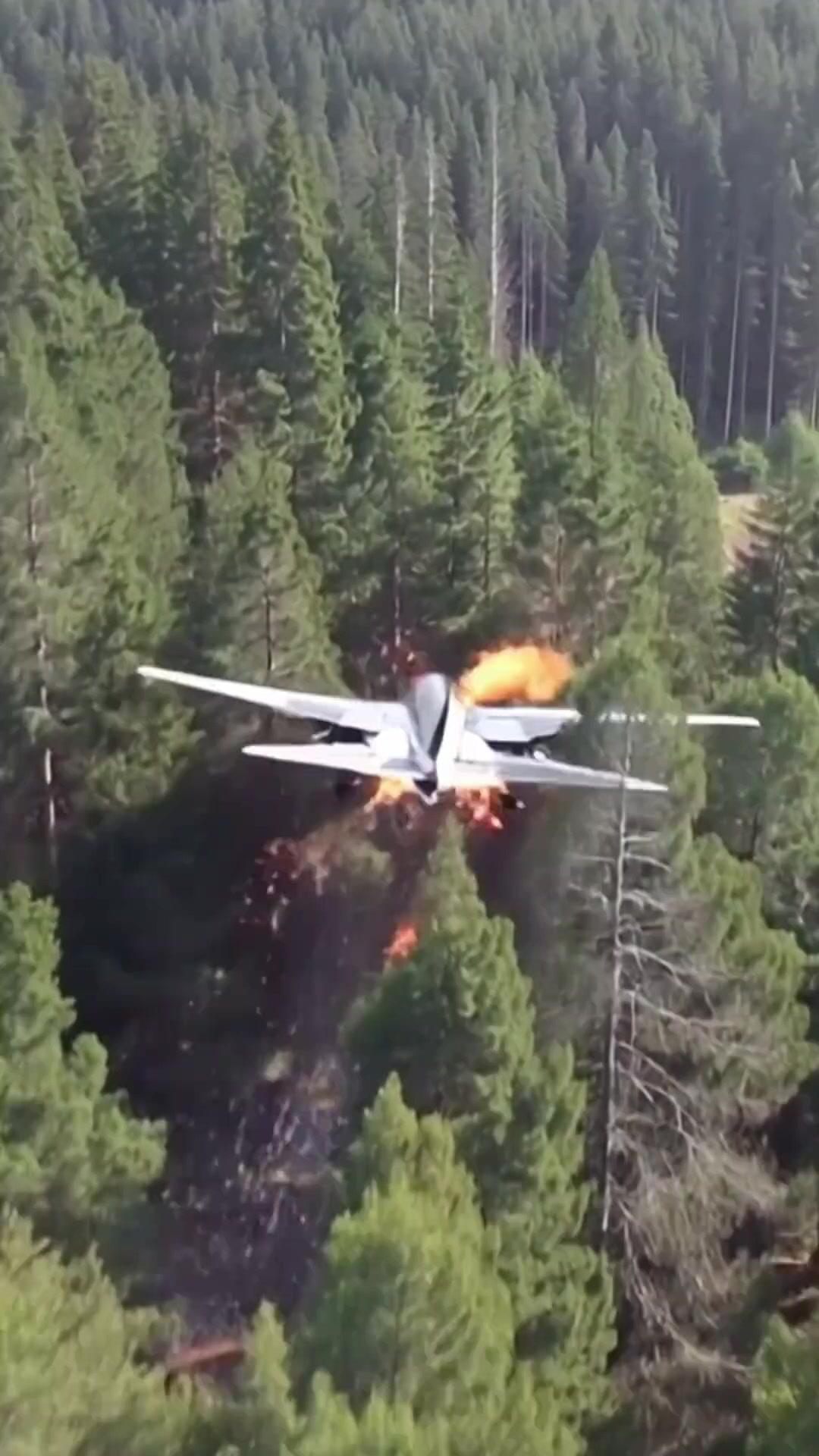 Liebe fand den Amnesischen Erben