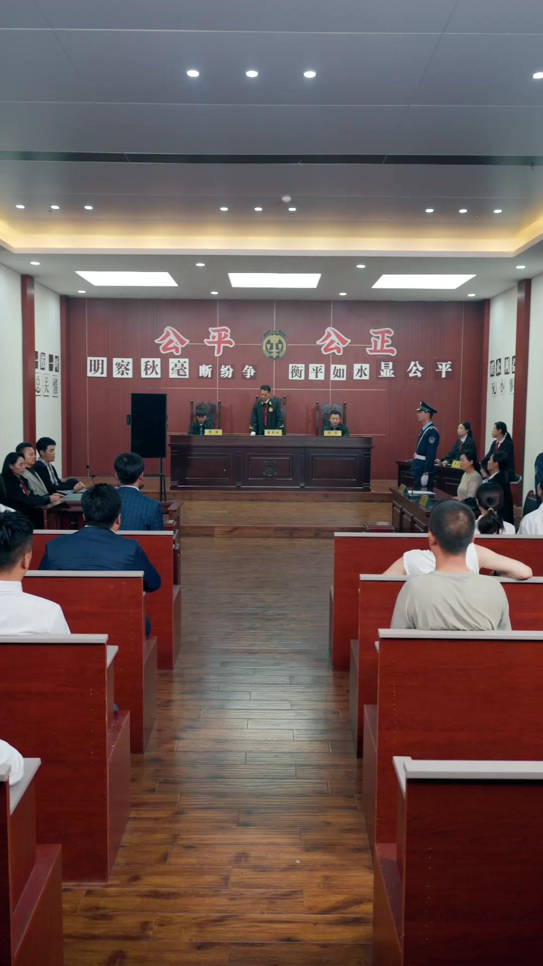 娘を救え！弁護士である母の逆転裁判