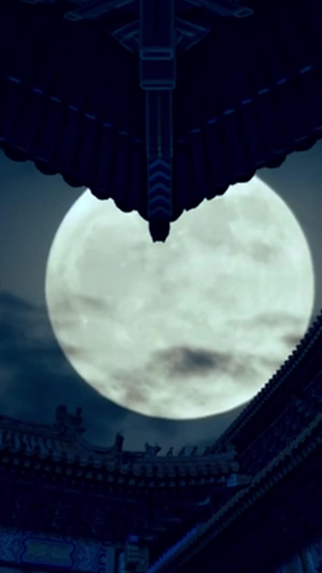 Renascida para Reinar