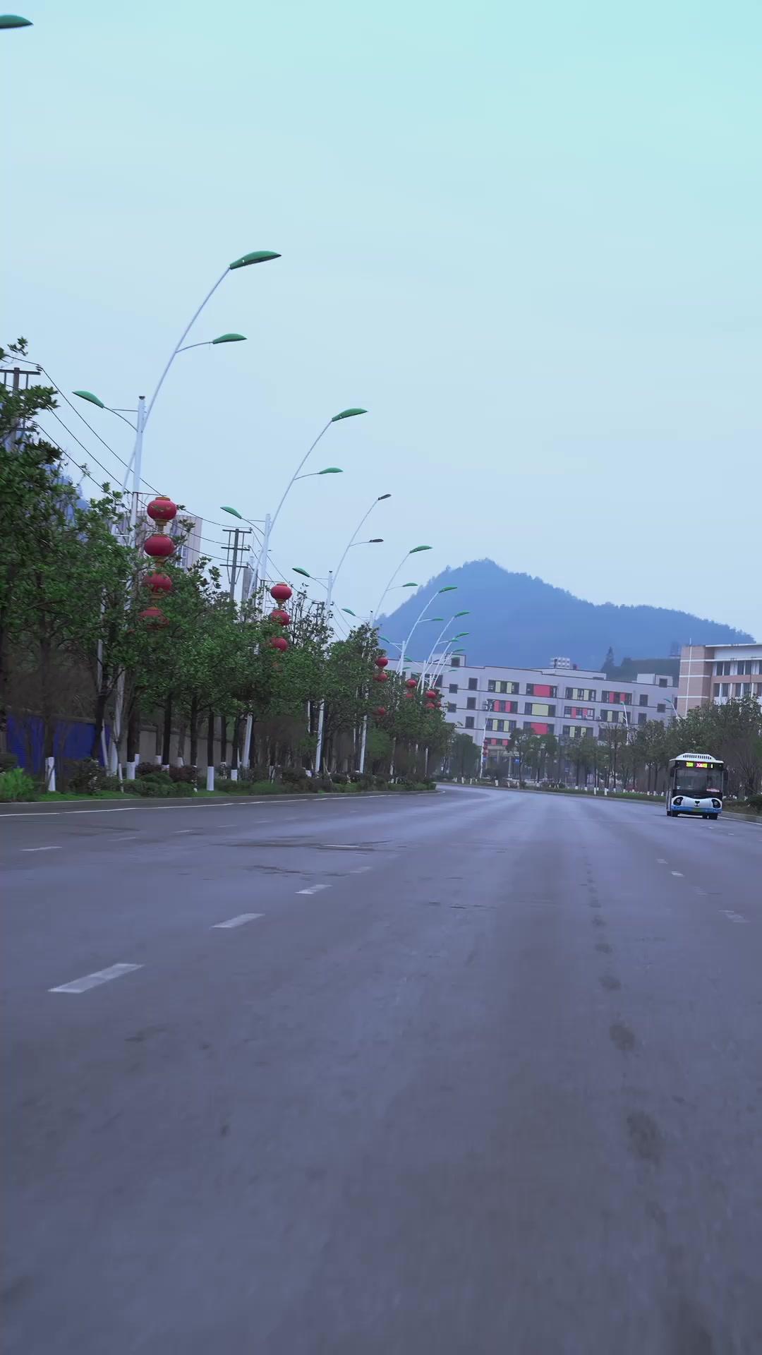 Renting Love for New Year