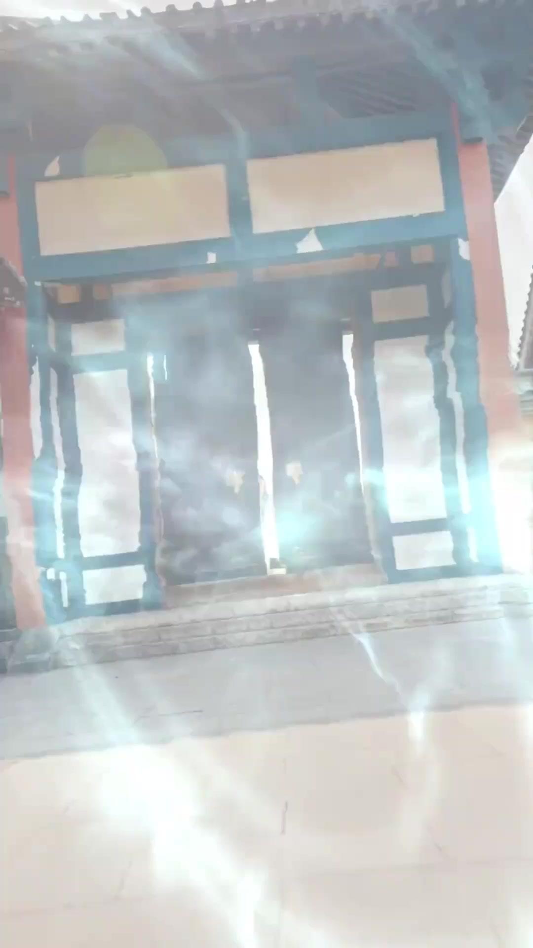 หงส์ในกรง 