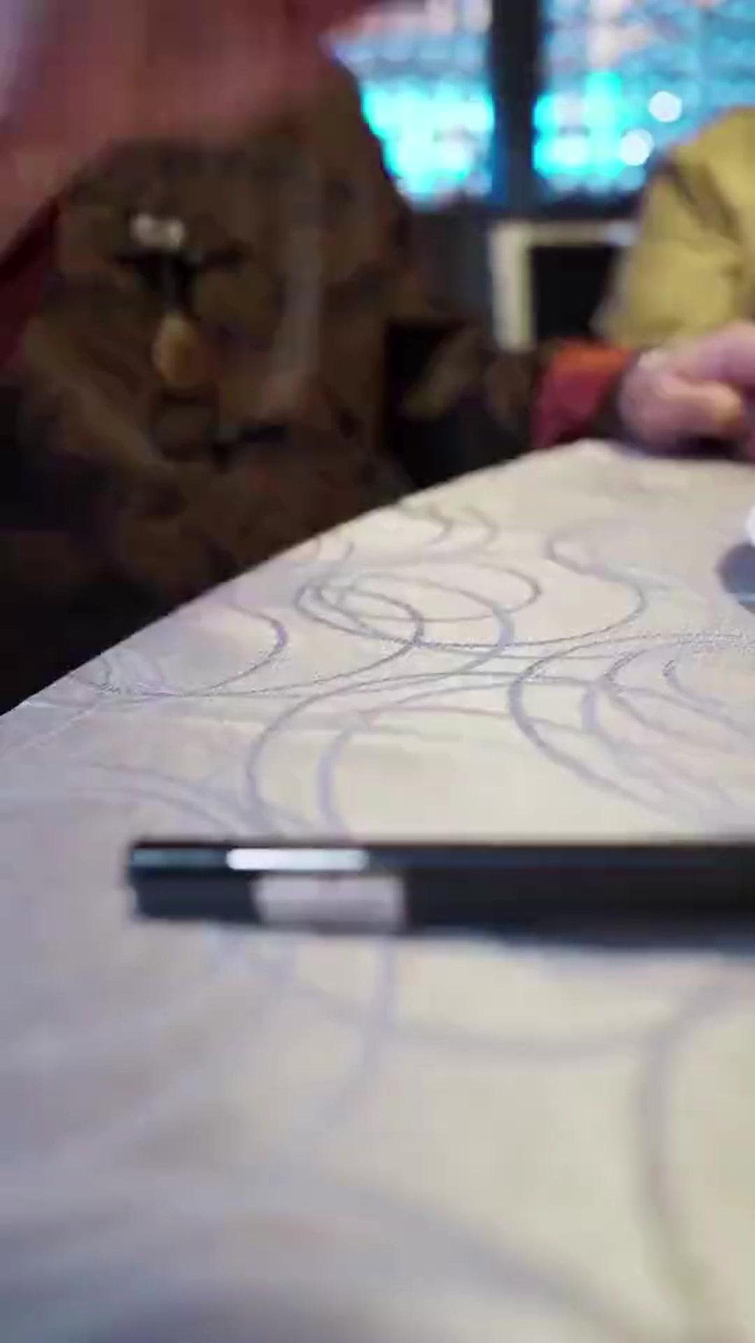 (Doublage)LE TOP CHEF DISPARU