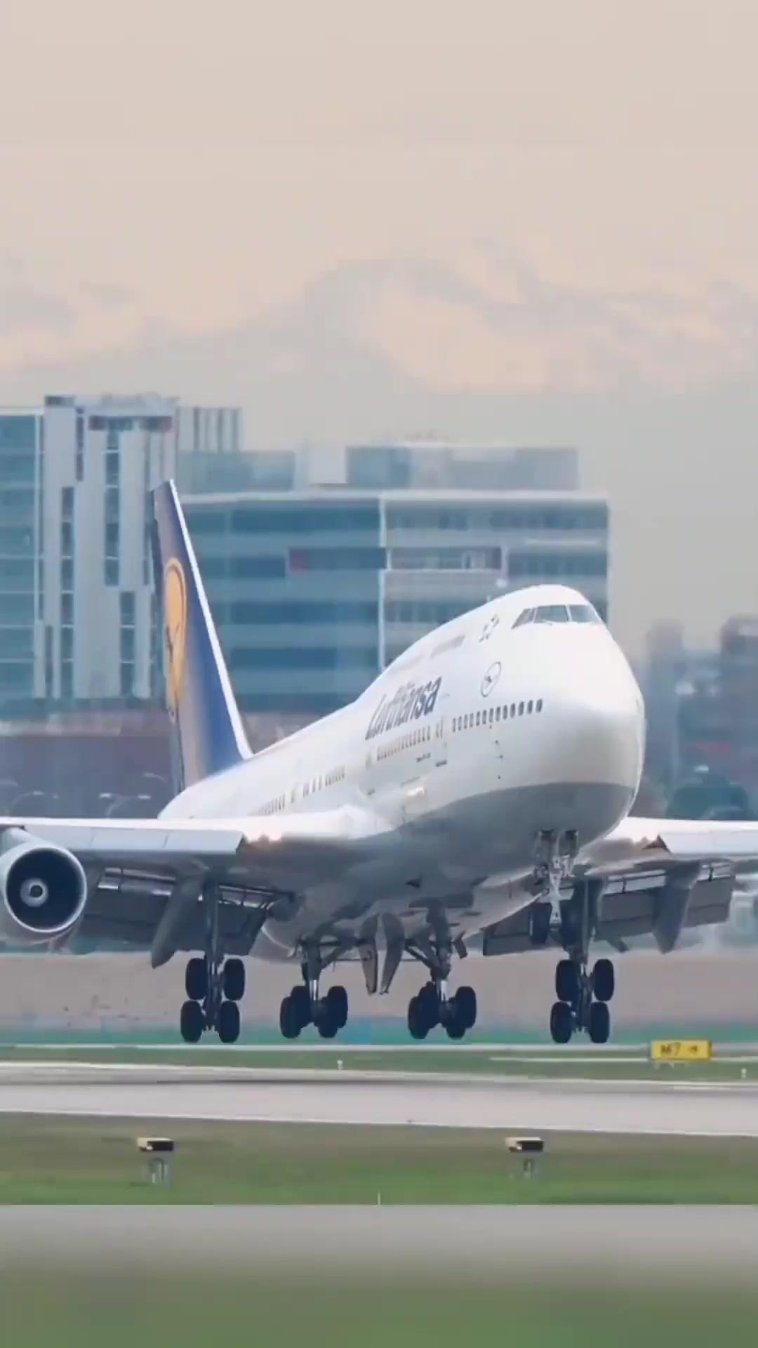 101回目の答えは「離婚します」