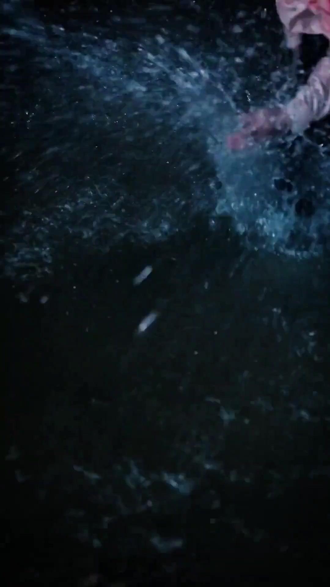 (Dubbed) Survived? I’m More Than Alive