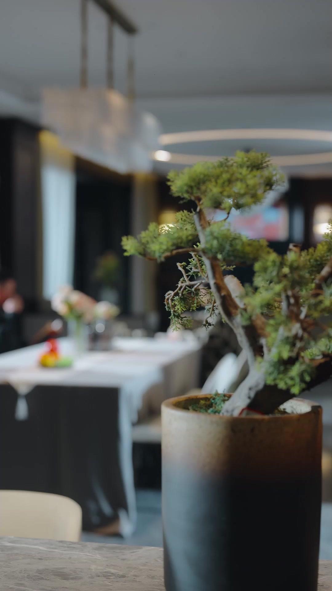 玫瑰，她會在別處盛開