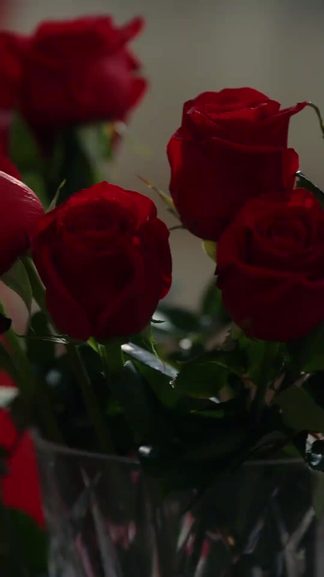 Legata Nella Tua Gabbia Dorata