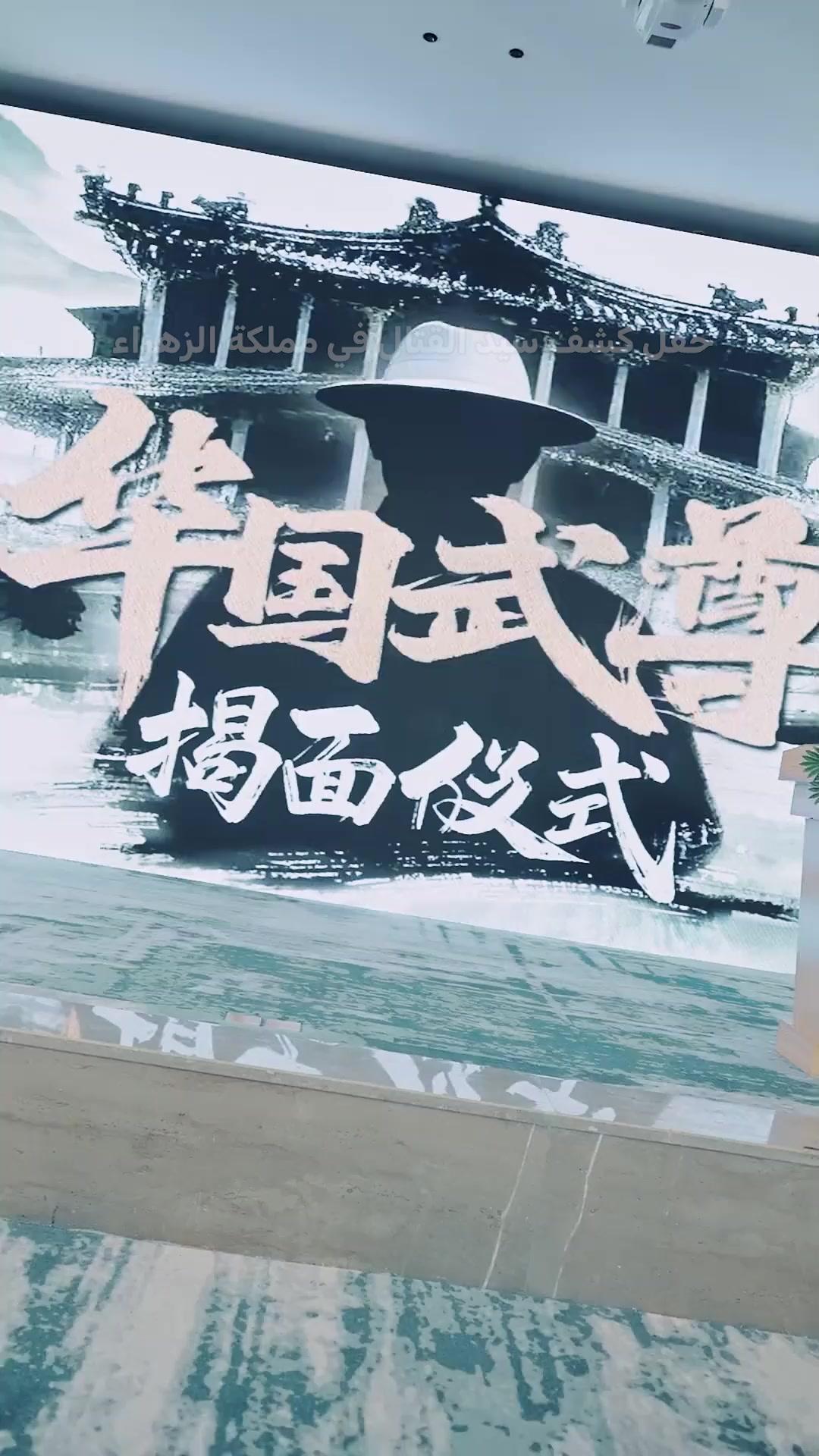 الزاهد الأسطوري（مدبلج）