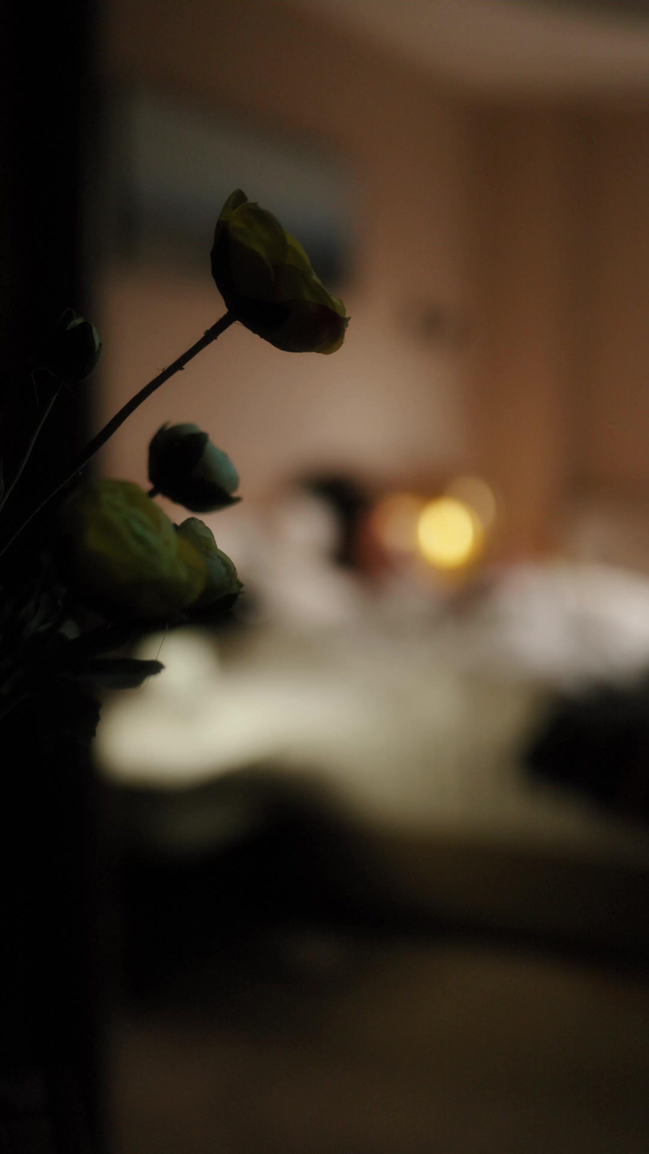 Amori Brevi, Dolori Eterni