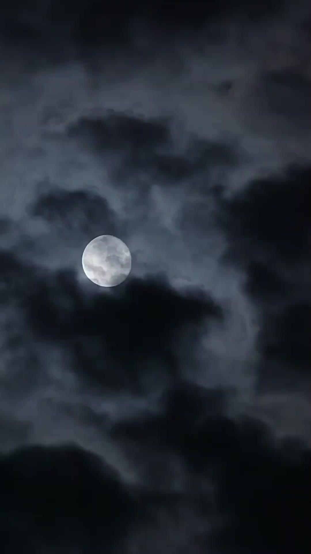 Bangkit Dari Penjara