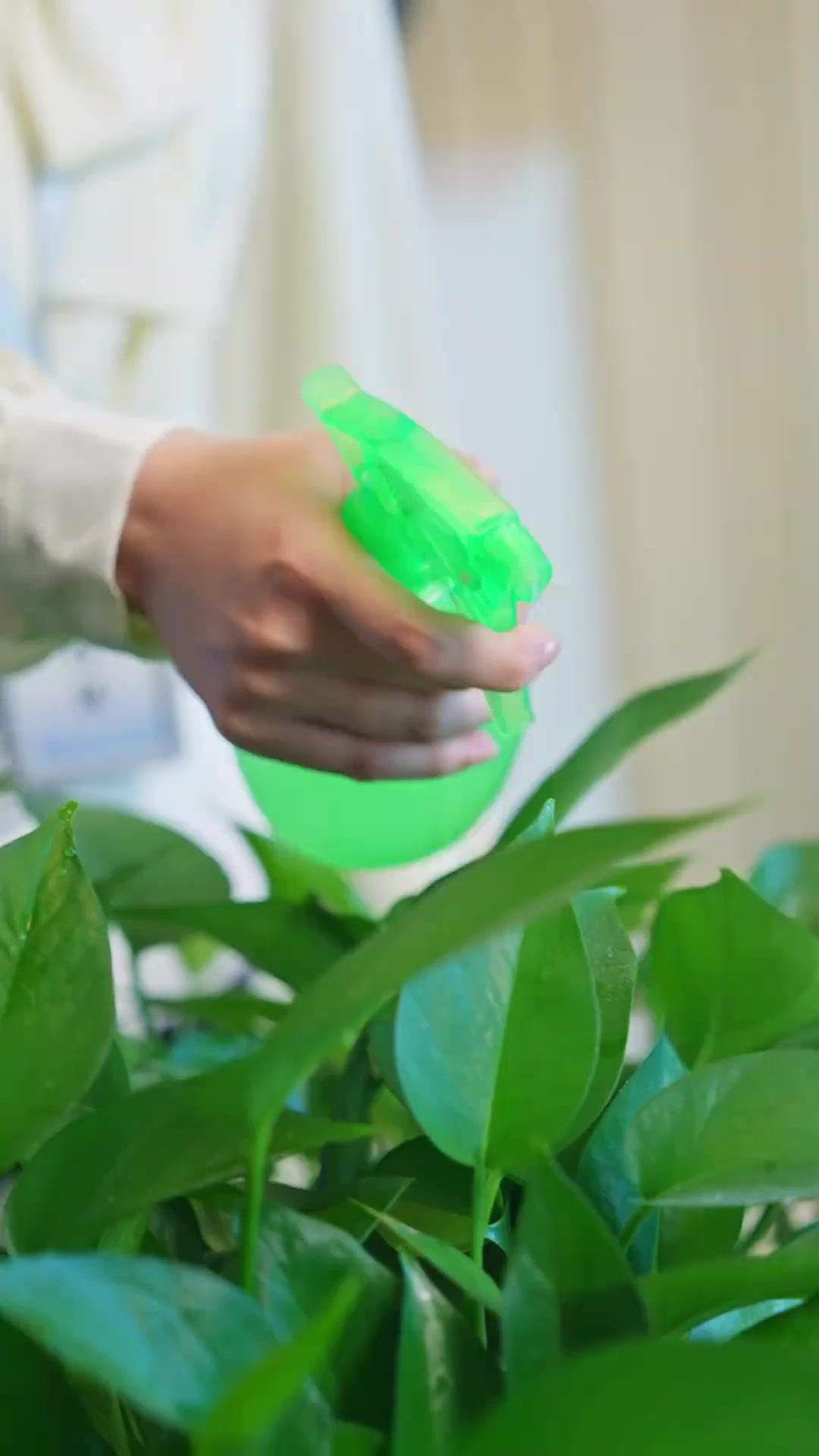 บทเรียนที่ชื่อว่ารักแรก