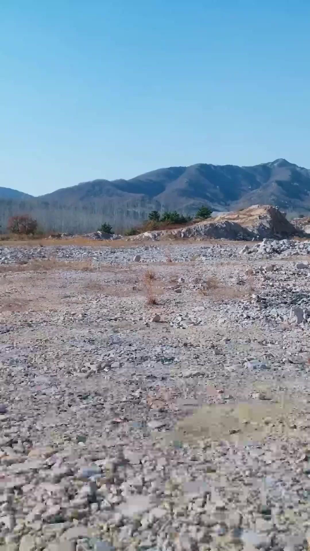 (Synchro) Der verborgene Wolfskönig: Vom Halbblut zur Legende