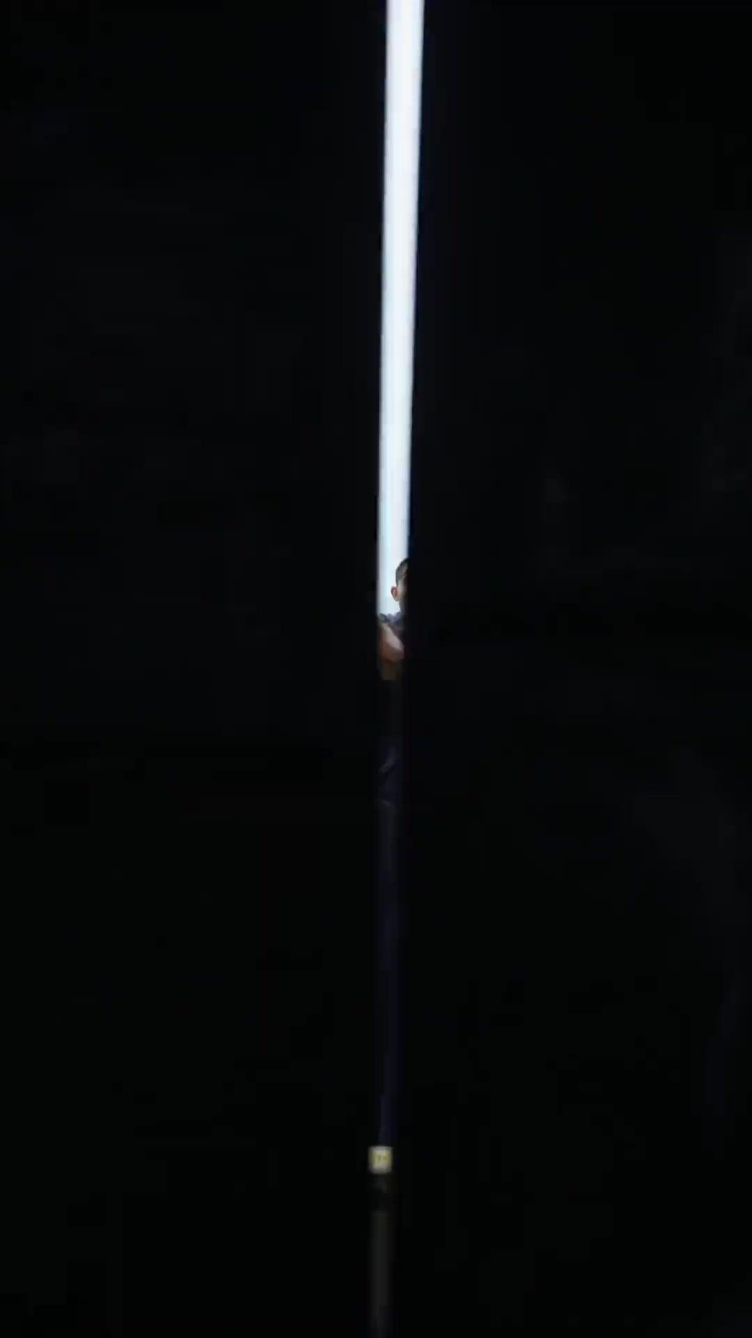 (吹き替え) 天命を裂く流浪の剣