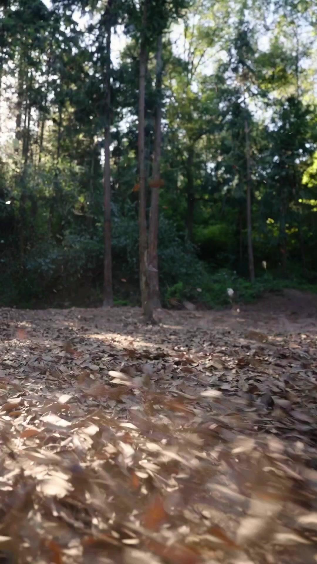 一覺萬年，醒來就要拯救宗門