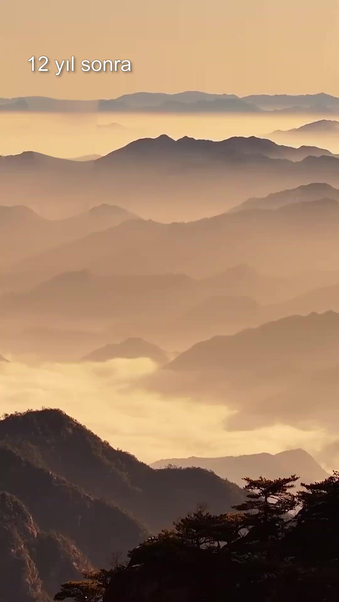 (Dublajlı)Dövüş sanatlarının ünlü ailesi Yiğit