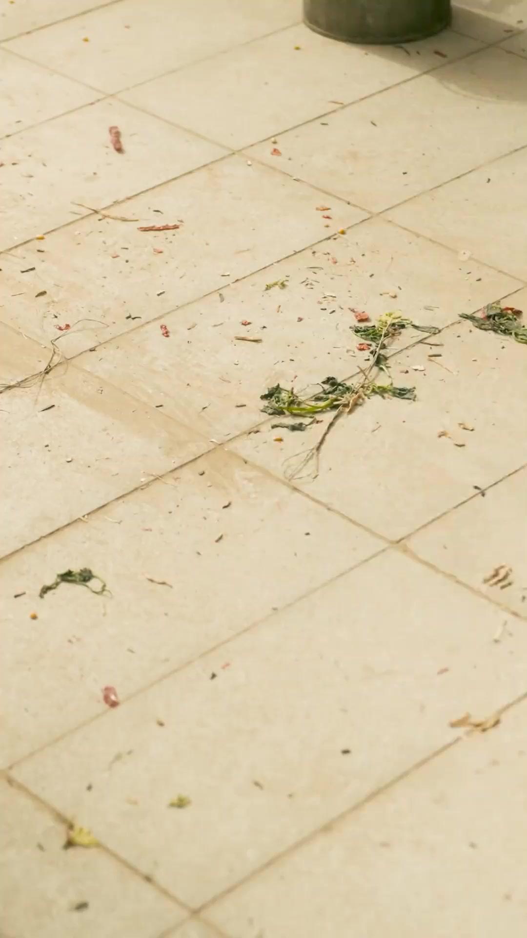 From Housewife to Urban Beauty