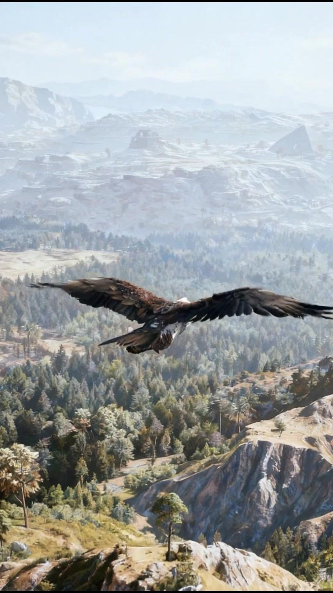 一介山賊，權傾天下