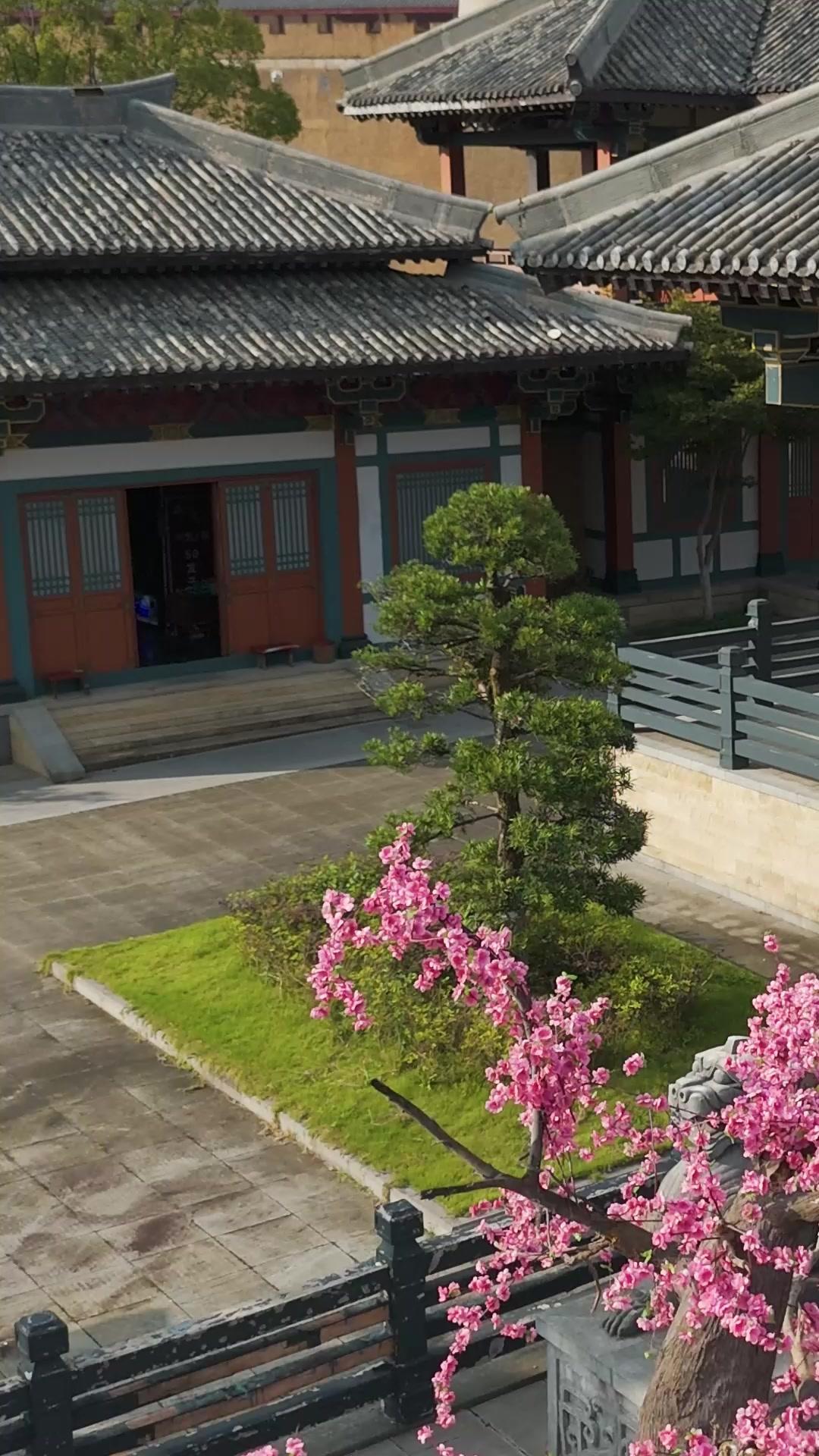 My Useless Daughter is A Grand General?