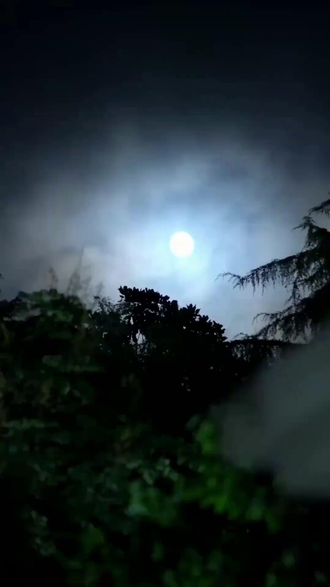 (Dublagem) Quando a Estrela se Foi, a Noite Caiu