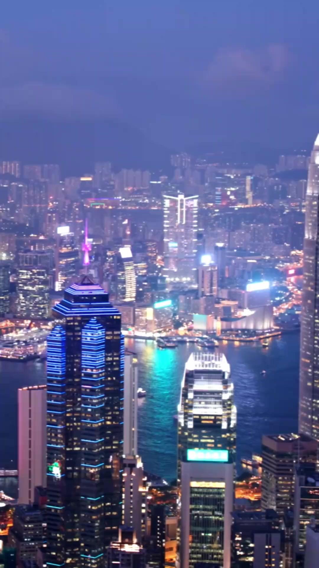 白い薔薇と銃口