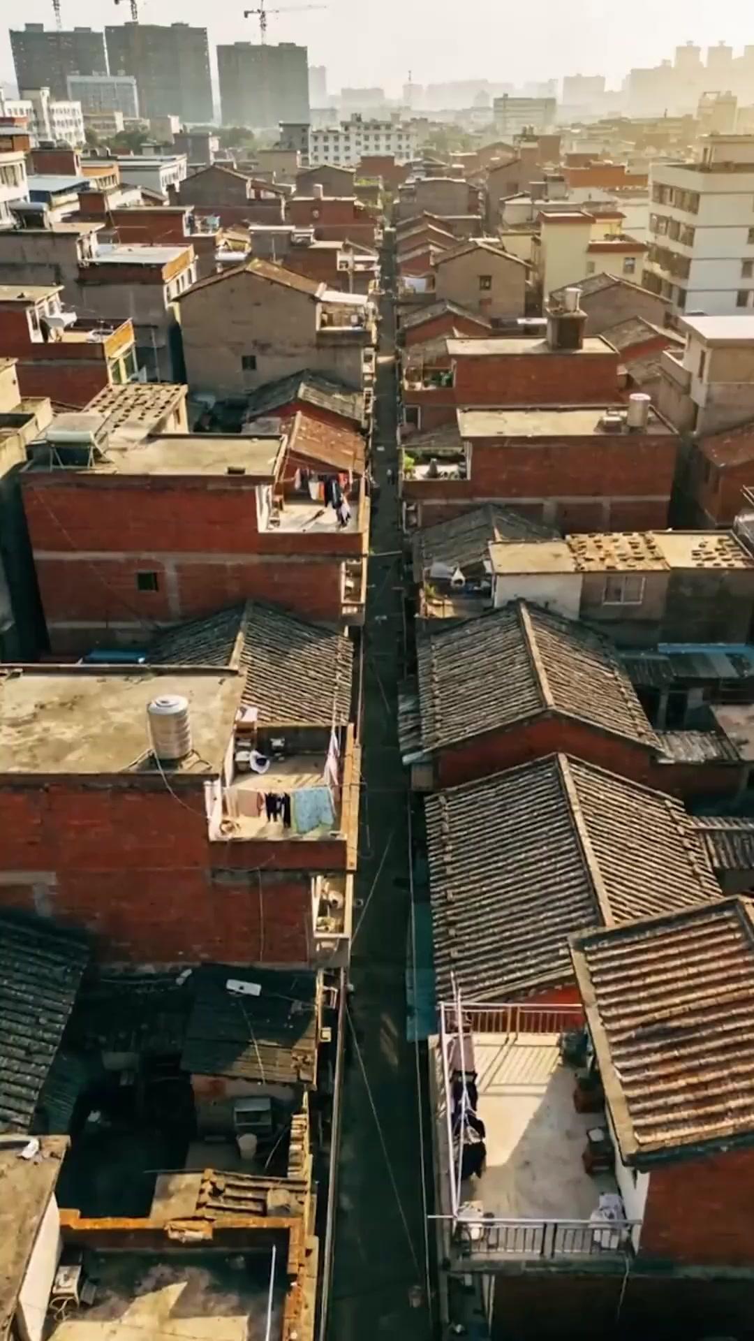 養子の裏切り 母の決断