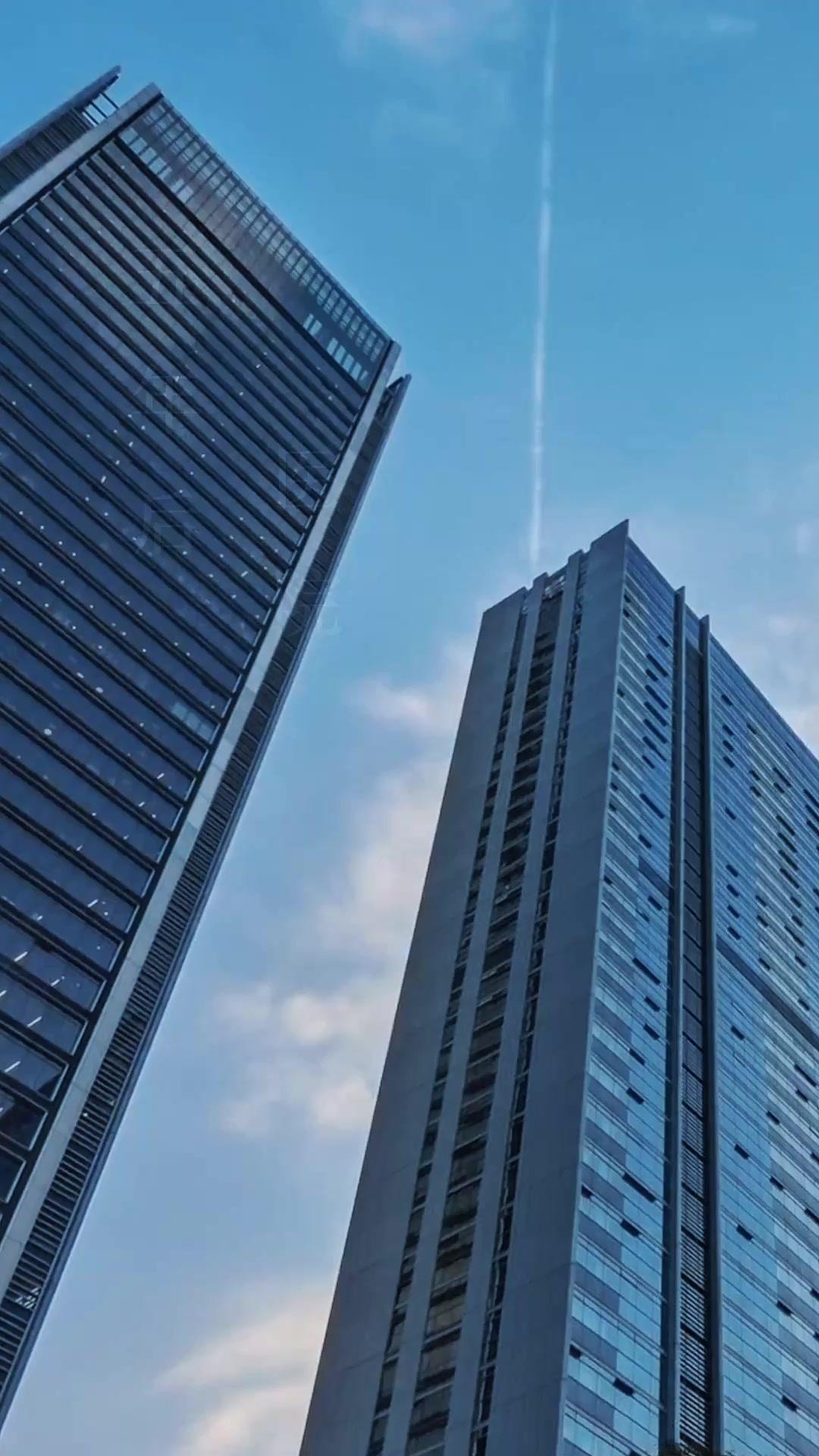 月光不照重逢路