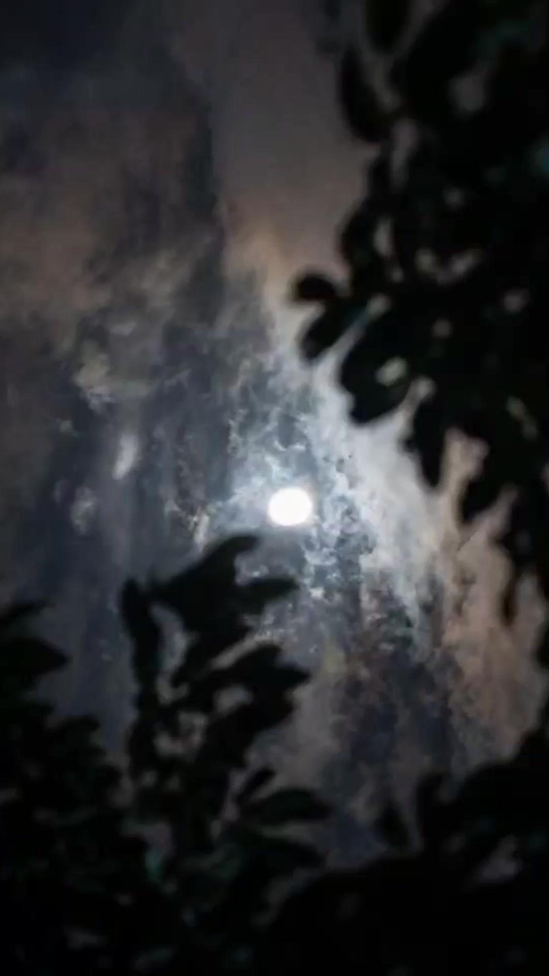 My Goddess Fell from the Sky