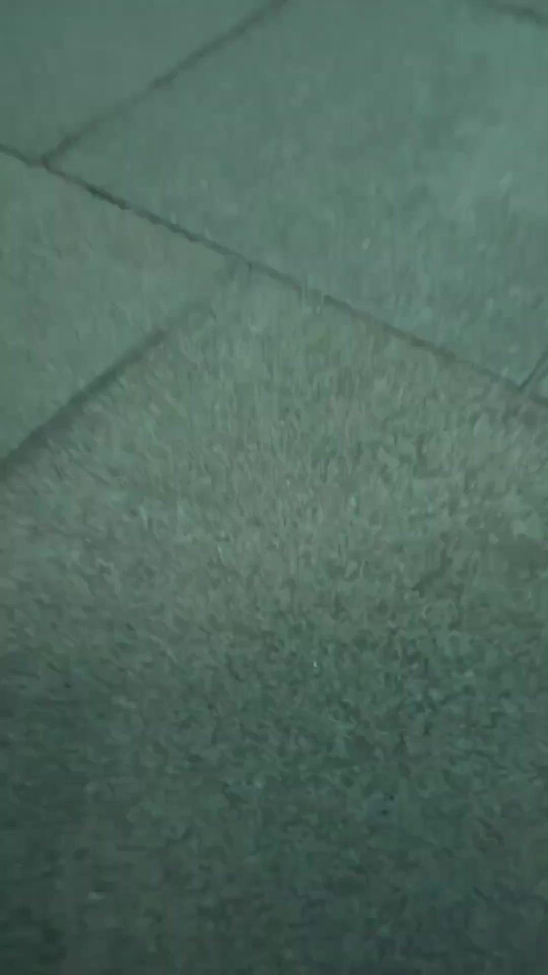 (Dublajlı) Yenilmez Koruma