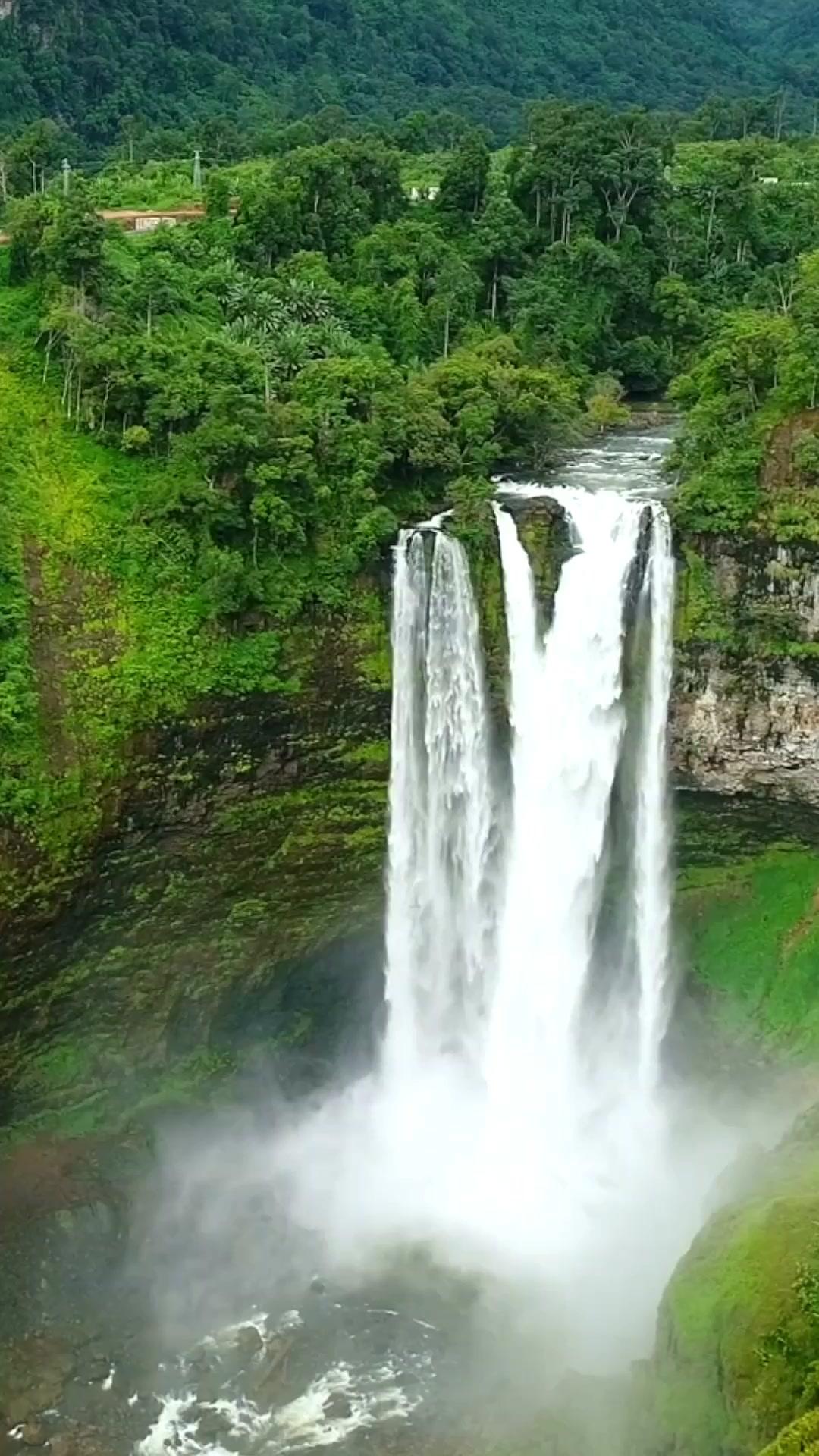 Adikku Kuasai Segalanya