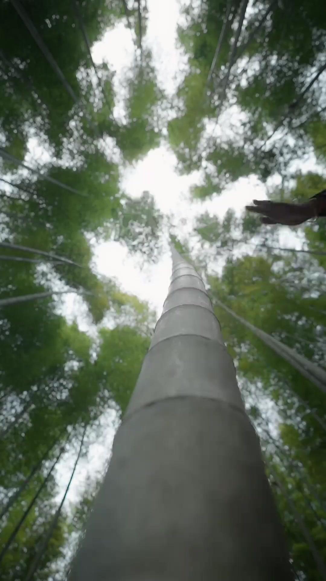 (Dublajlı)Yükselen Zafer