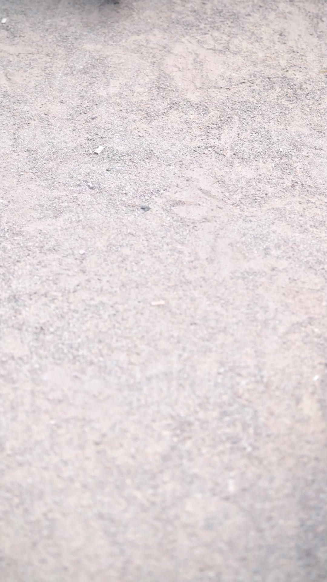 我在仇家當少爺