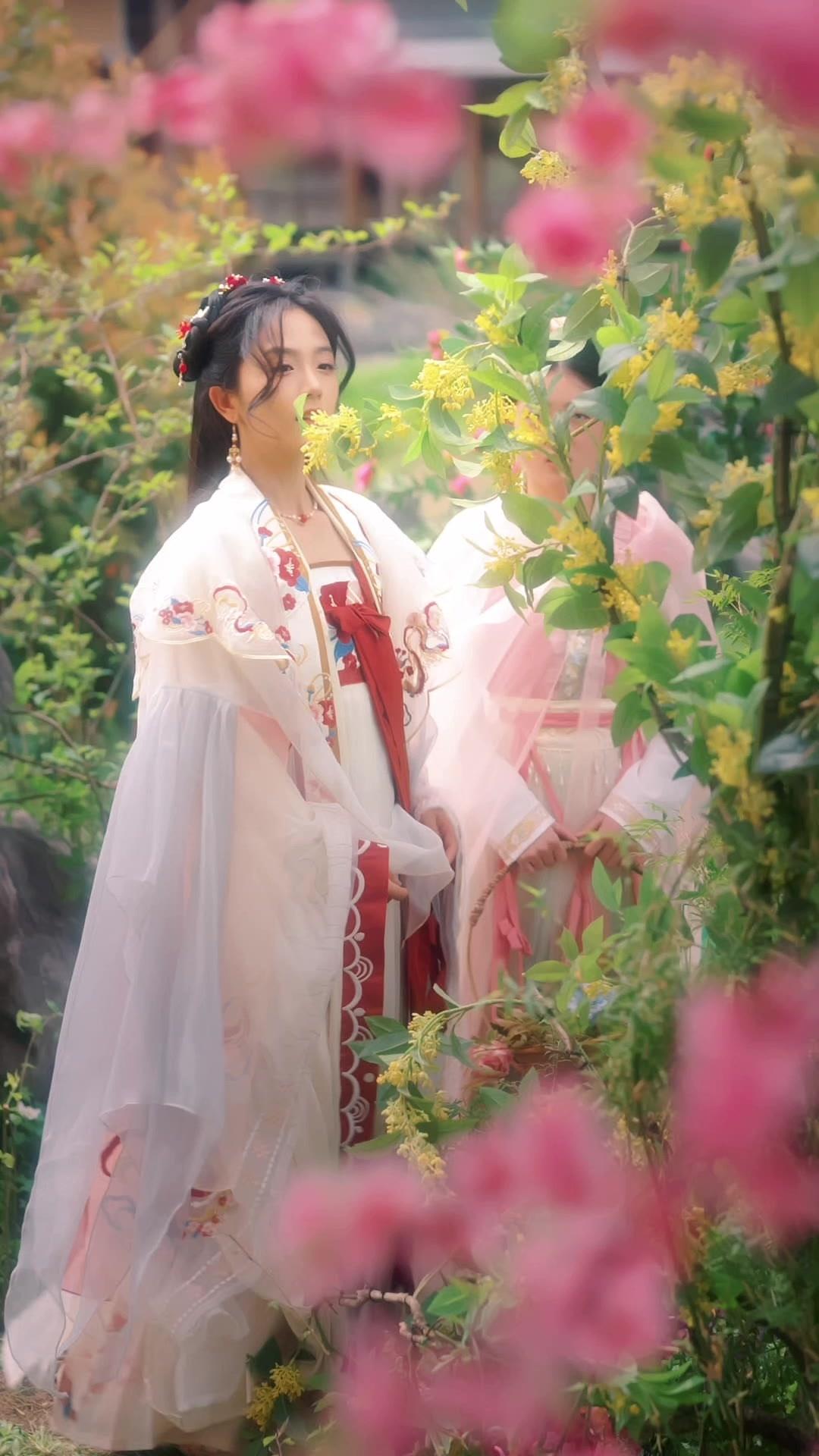 El regreso de la princesa