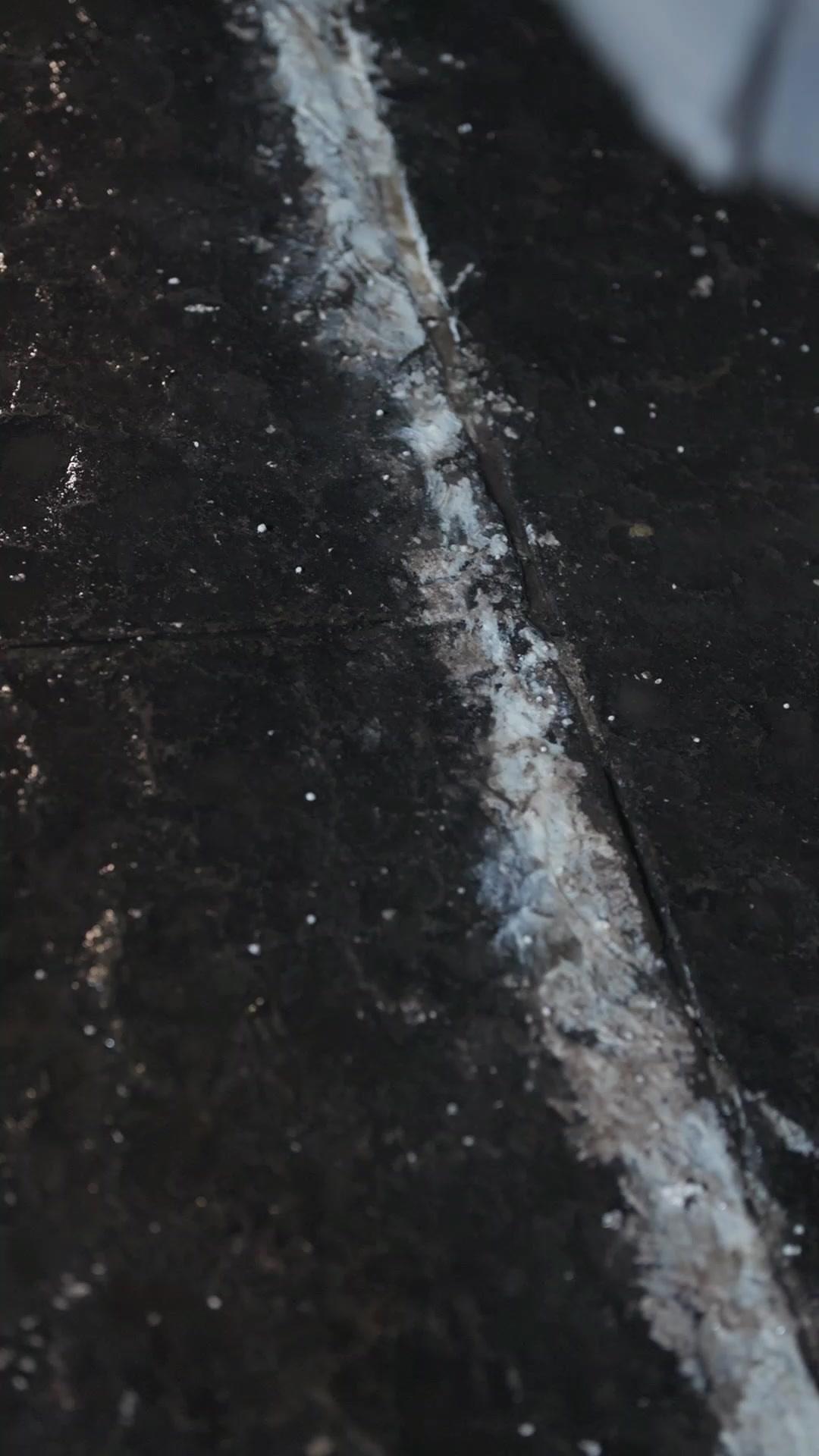 Jenius Ilmu Bela diri