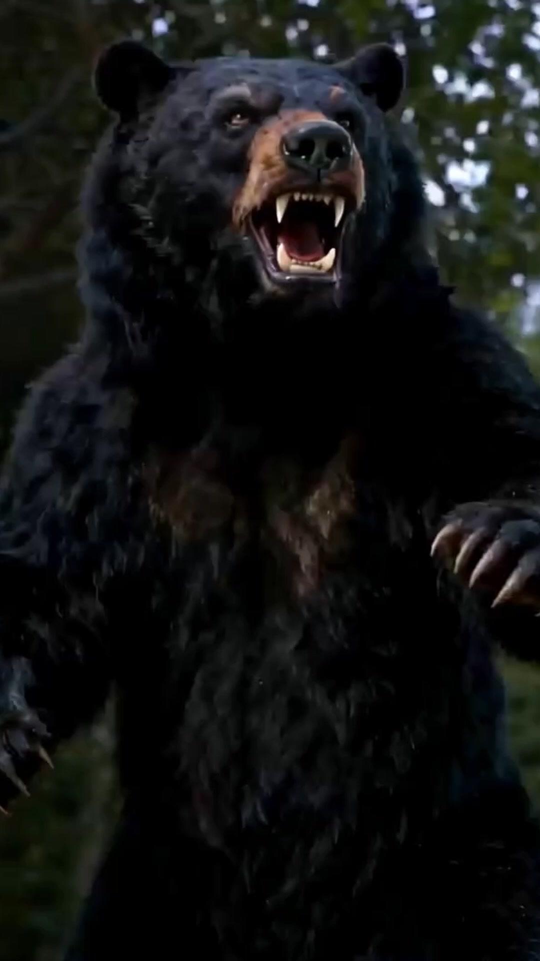 Legenda Siluman Beruang