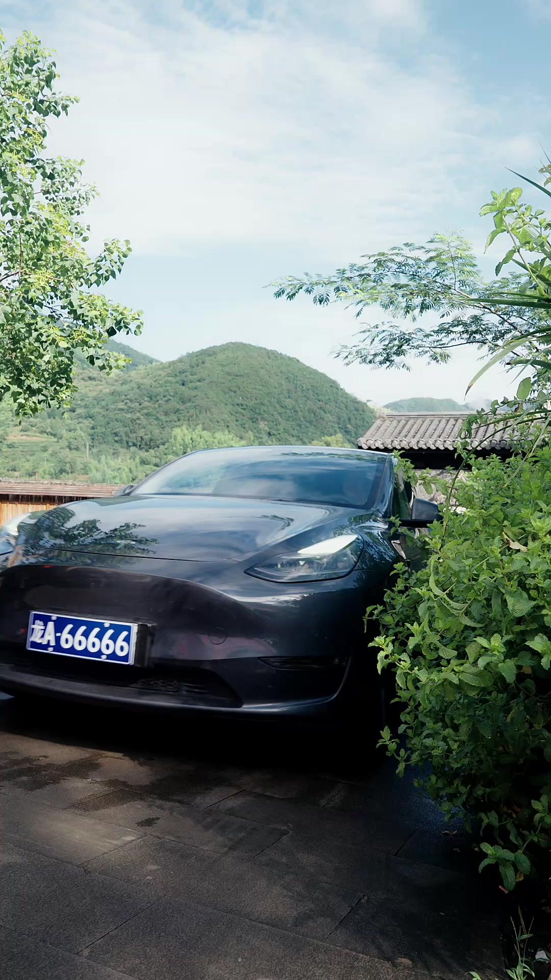 Tersamar Cinta Sang Miliarder