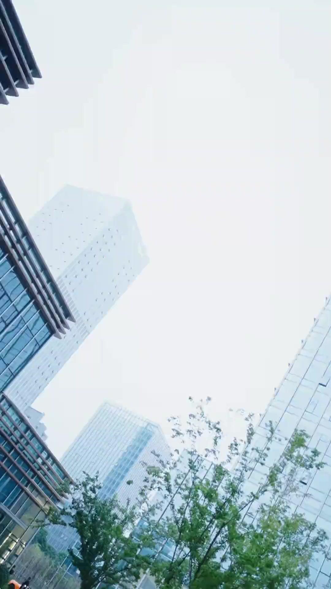 空から舞い降りた小さな預言者