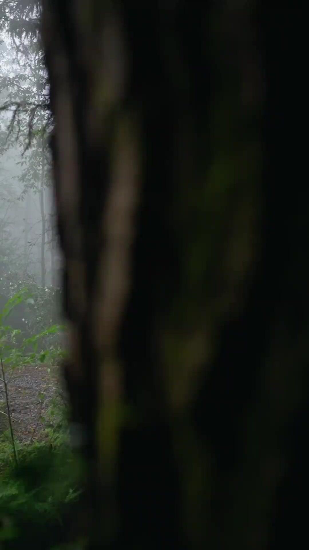 무림을 뒤흔든 늦깎이 천재