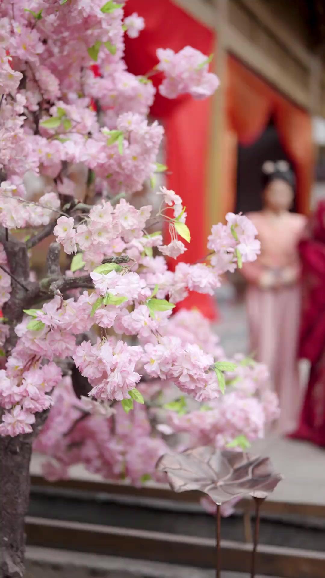 Permaisuri Yang Ditakdirkan