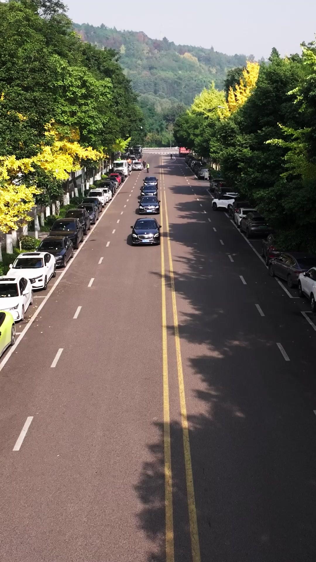 被背叛後，他撿走了我