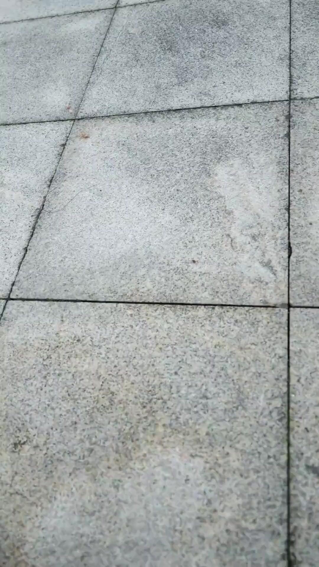 (Dublajlı)Saklı Kılıcın Son Şafağı