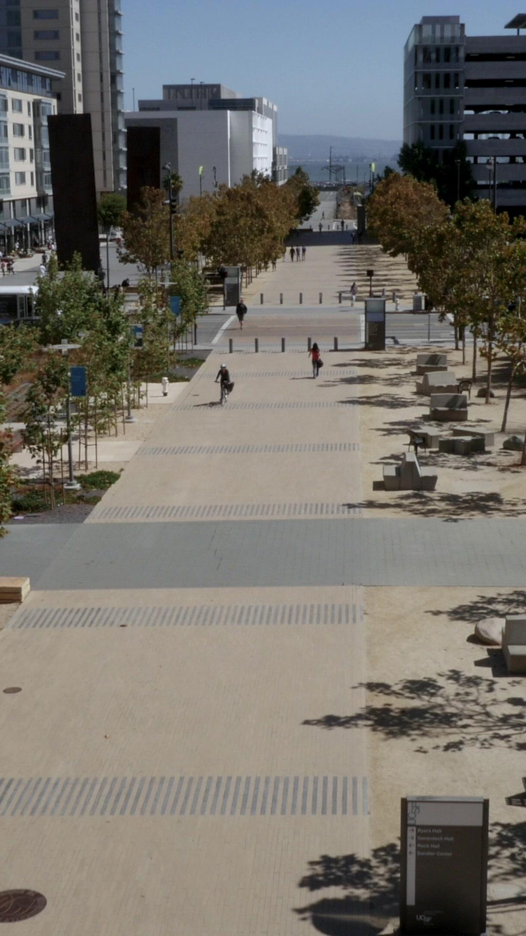 Mistaken Surrogate For The B-ball Bad Boy