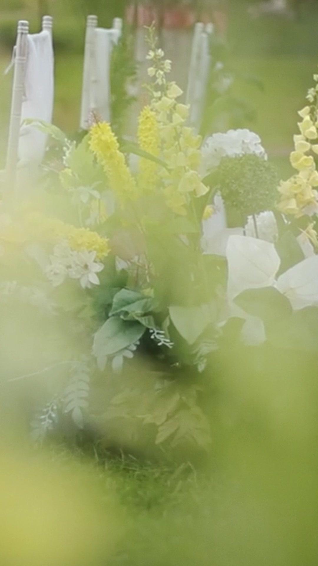 Girl! You Have to Be Mine!