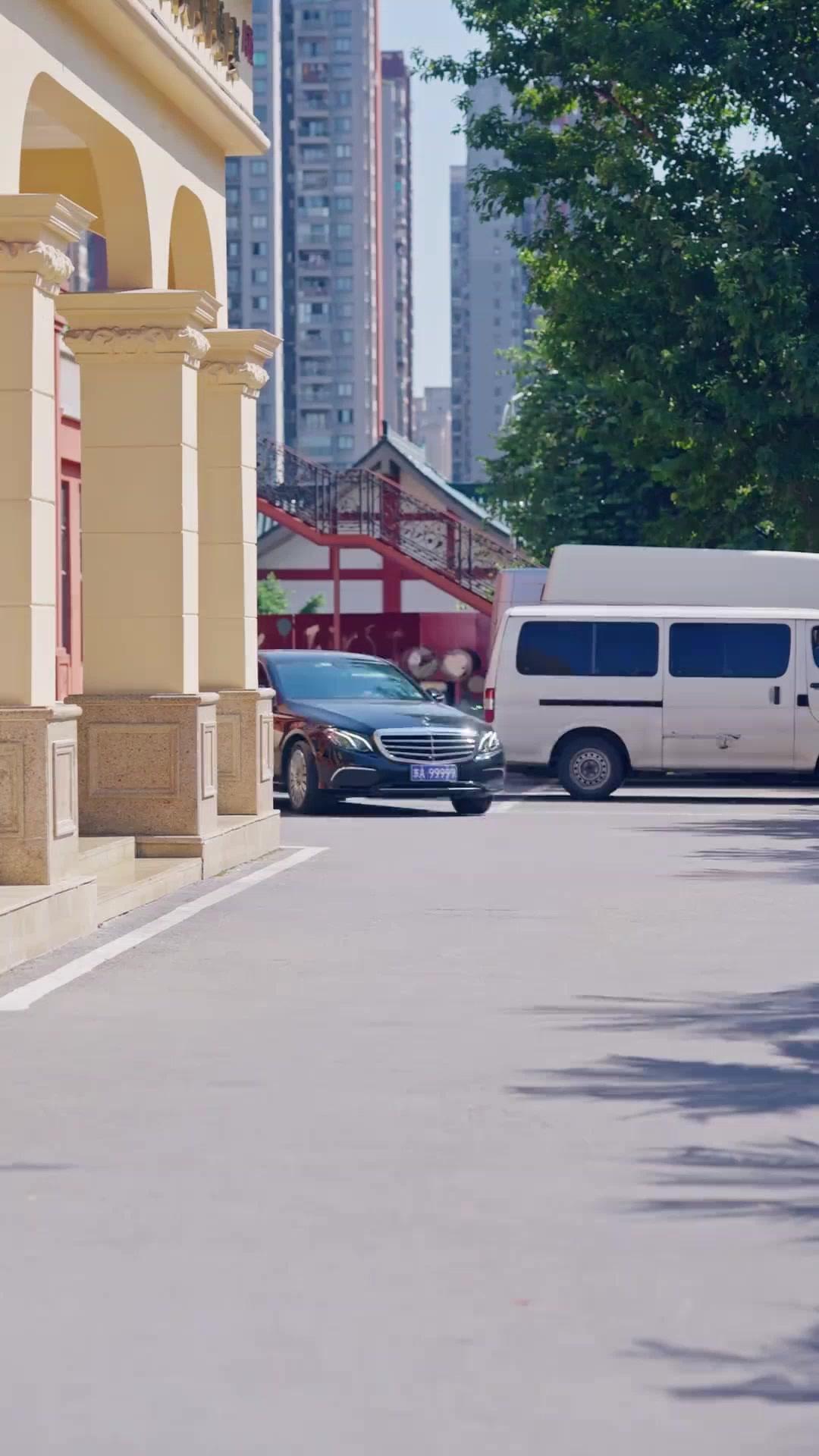 (Dubbed) She Roars Back