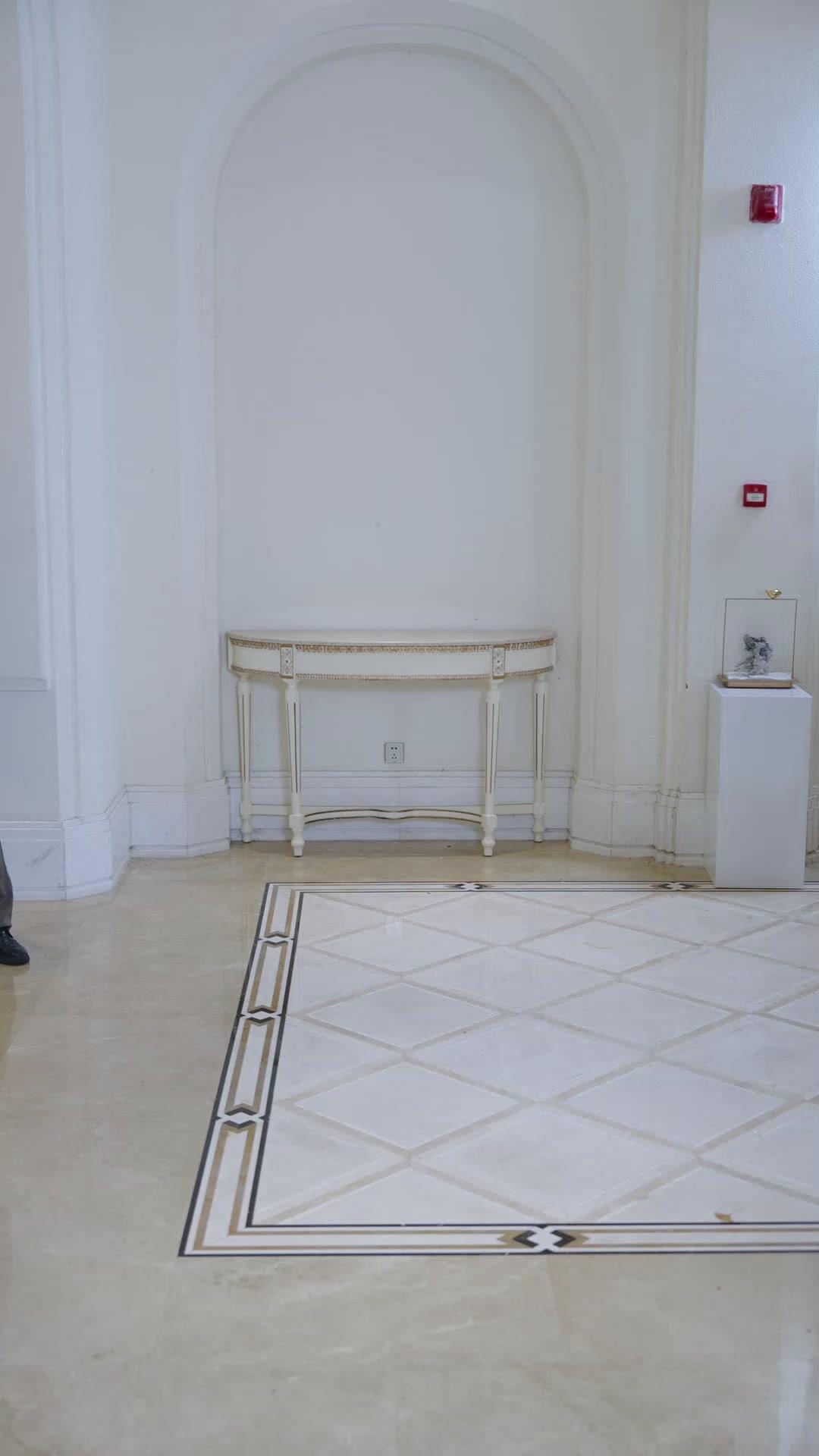 Mr. CEO's Village Princess