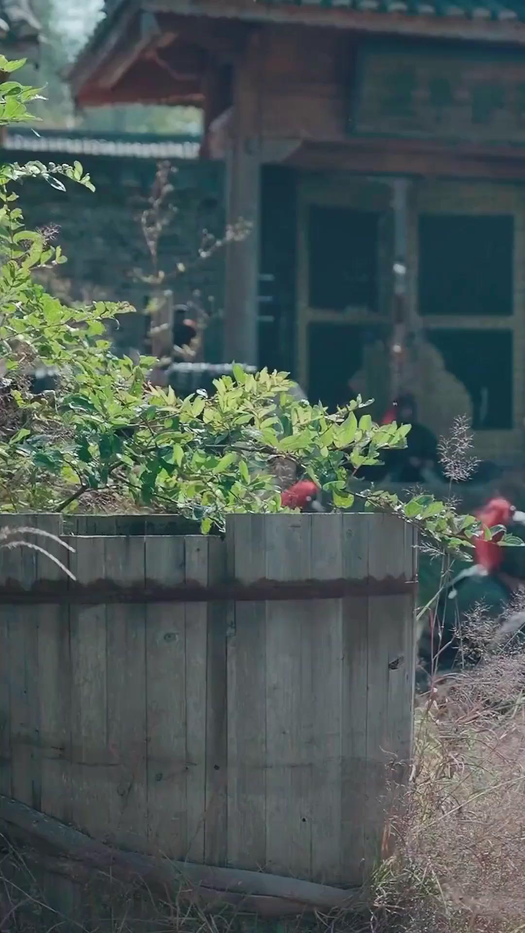 （พากย์เสียง）ข้ามภพพลิกรักหักอกฮ่องเต้