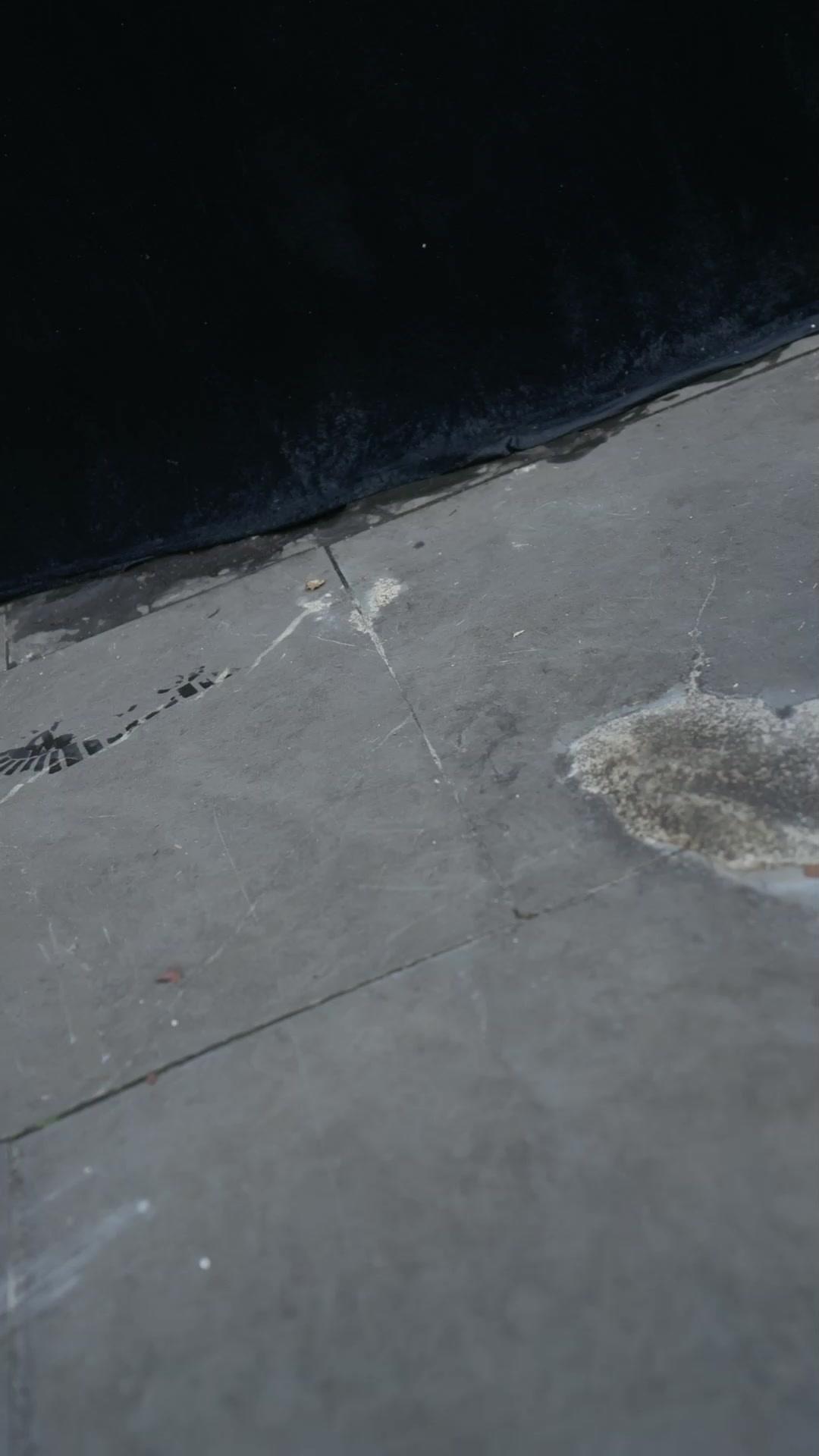 別笑老爹不簡單