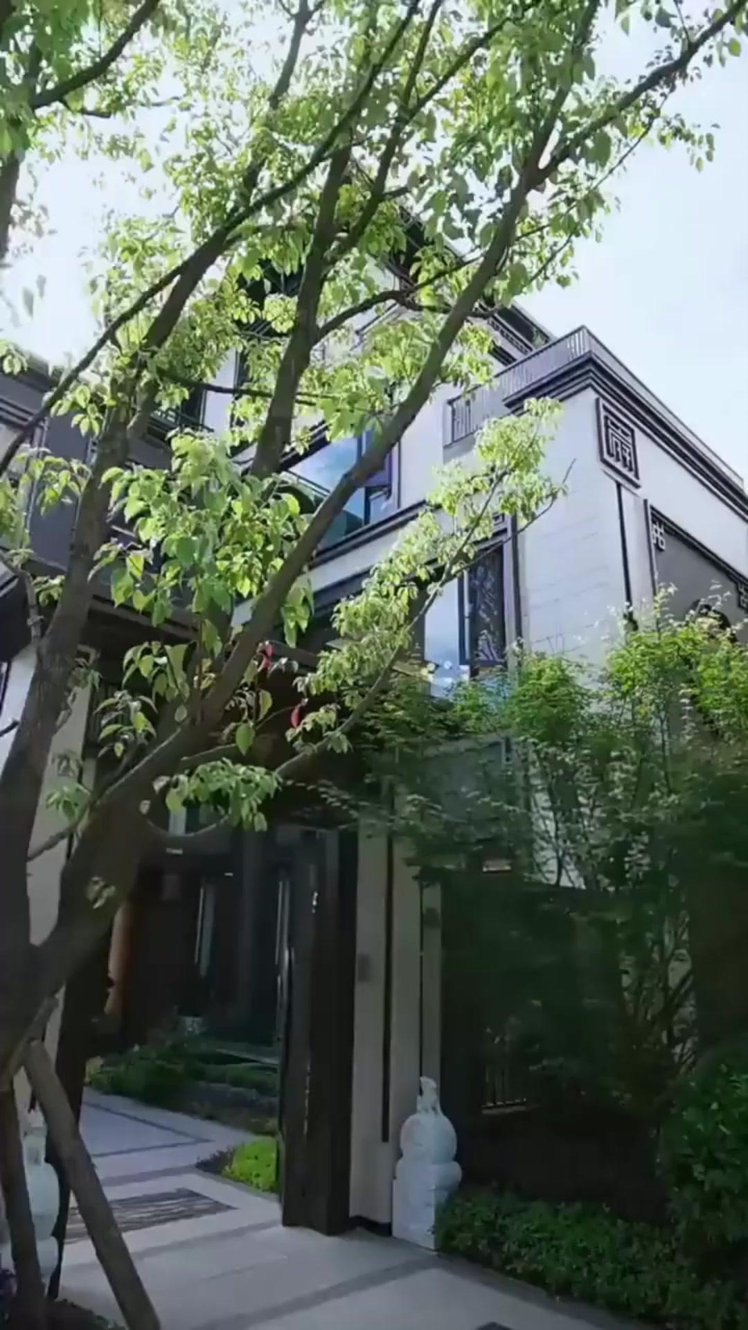 The Low-Key Legend Next Door